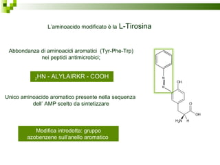 L’aminoacido modificato è la  L-Tirosina Abbondanza di aminoacidi aromatici  (Tyr-Phe-Trp) nei peptidi antimicrobici; Unico aminoacido aromatico presente nella sequenza  dell’ AMP scelto da sintetizzare Modifica introdotta: gruppo azobenzene sull’anello aromatico  2 HN - ALYLAIRKR - COOH 
