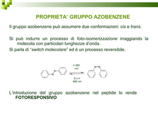PROPRIETA’ GRUPPO AZOBENZENE Il gruppo azobenzene può assumere due conformazioni:  cis  e  trans .  Si può indurre un processo di  foto-isomerizzazione  irraggiando la molecola con particolari lunghezze d’onda. Si parla di “ switch molecolare ” ed è un processo reversibile. L’introduzione del gruppo azobenzene nel peptide lo rende  FOTORESPONSIVO λ  360 nm Δ  o  λ ’ 488 nm 