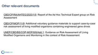 Risk Assessment and Risk Management Presentation 1 | PPTX