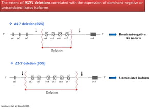 ex1 ex2 ex3 ex4 ex5 ex6 ex7 ex8
5’ 3’
The extent of IKZF1 deletions correlated with the expression of dominant-negative or
untranslated Ikaros isoforms
 Δ4-7 deletion (65%)
Deletion
 Δ2-7 deletion (30%)
ex1 ex8
5’ 3’
ex2 ex3 ex4 ex5 ex6 ex7
Dominant-negative
Ik6 isoform
Untranslated isoform
Deletion
Iacobucci I et al, Blood 2009
 