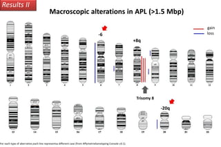 Results II
Macroscopic alterations in APL (>1.5 Mbp)
loss
gain
-6
For each type of aberration,each line representsa different case (from AffymetrixGenotyping Console v3.1).
+8q
Trisomy 8
-20q
 