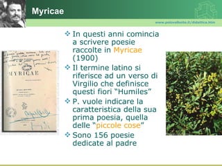 Myricae
                                  www.polovalboite.it/didattica.htm



           In questi anni comincia
            a scrivere poesie
            raccolte in Myricae
            (1900)
           Il termine latino si
            riferisce ad un verso di
            Virgilio che definisce
            questi fiori “Humiles”
           P. vuole indicare la
            caratteristica della sua
            prima poesia, quella
            delle “piccole cose”
           Sono 156 poesie
            dedicate al padre
 