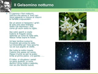 Il Gelsomino notturno
                                              www.polovalboite.it/didattica.htm

   E s'aprono i fiori notturni,
    nell'ora che penso a' miei cari.
    Sono apparse in mezzo ai viburni
    le farfalle crepuscolari.
    Da un pezzo si tacquero i gridi:
    là sola una casa bisbiglia.
    Sotto l'ali dormono i nidi,
    come gli occhi sotto le ciglia.
    Dai calici aperti si esala
    l'odore di fragole rosse.
    Splende un lume là nella sala.
    Nasce l'erba sopra le fosse.
    Un'ape tardiva sussurra
    trovando già prese le celle.
    La Chioccetta per l'aia azzurra
    va col suo pigolio di stelle.
    Per tutta la notte s'esala
    l'odore che passa col vento.
    Passa il lume su per la scala;
    brilla al primo piano: s'è spento . . .
    È l'alba: si chiudono i petali
    un poco gualciti; si cova,
    dentro l'urna molle e segreta,
    non so che felicità nuova.
 