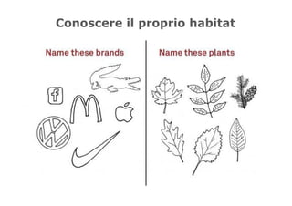 Conoscere il proprio habitat
 