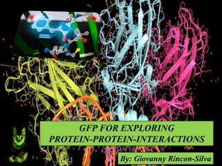 GFP FOR EXPLORING
PROTEIN-PROTEIN-INTERACTIONS
By: Giovanny Rincon-Silva1
 