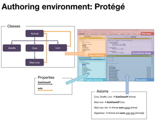 Authoring environment: Protégé
File menu
Class hierarchy
Property hierarchy
Annotations-Usage
Description
Mad cow
SubClass...