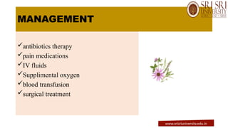 MANAGEMENT
antibiotics therapy
pain medications
IV fluids
Supplimental oxygen
blood transfusion
surgical treatment
www.srisriuniversity.edu.in
 