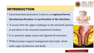 INTRODUCTION
• Gastrointestinal perforation is known as ruptured bowel,
intestinal perforation and perforation of the intestines.
• It occurs from the upper esophagus to the anorectal junction
at anywhere in the structural anatomical location.
• It is caused by peptic ulcers and sigmoid diverticulum.
• Without proper surgical management lead septic shock,
multi organ dysfunction and death.
www.srisriuniversity.edu.in
 