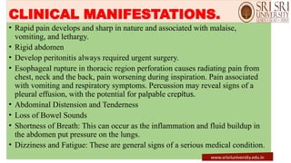 CLINICAL MANIFESTATIONS.
• Rapid pain develops and sharp in nature and associated with malaise,
vomiting, and lethargy.
• Rigid abdomen
• Develop peritonitis always required urgent surgery.
• Esophageal rupture in thoracic region perforation causes radiating pain from
chest, neck and the back, pain worsening during inspiration. Pain associated
with vomiting and respiratory symptoms. Percussion may reveal signs of a
pleural effusion, with the potential for palpable crepitus.
• Abdominal Distension and Tenderness
• Loss of Bowel Sounds
• Shortness of Breath: This can occur as the inflammation and fluid buildup in
the abdomen put pressure on the lungs.
• Dizziness and Fatigue: These are general signs of a serious medical condition.
www.srisriuniversity.edu.in
 