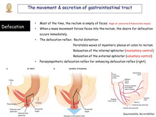 physiology of digestive system and metabolism 2 | PDF