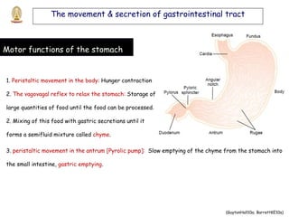 physiology of digestive system and metabolism 2 | PDF