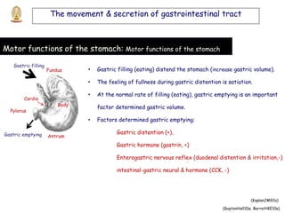 physiology of digestive system and metabolism 2 | PDF