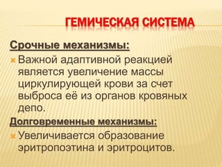 ГЕМИЧЕСКАЯ СИСТЕМА
Срочные механизмы:
 Важной адаптивной реакцией
является увеличение массы
циркулирующей крови за счет
выброса её из органов кровяных
депо.
Долговременные механизмы:
 Увеличивается образование
эритропоэтина и эритроцитов.
 