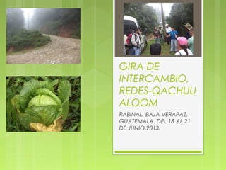GIRA DE
INTERCAMBIO,
REDES-QACHUU
ALOOM
RABINAL, BAJA VERAPAZ,
GUATEMALA. DEL 18 AL 21
DE JUNIO 2013.
 