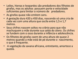 • Leões, hienas e leopardos são predadores dos filhotes de
girafas, mas os adultos possuem porte e velocidade
suficientes para limitar o número de predadores.
• As girafas quase não emitem sons.
• A gestação dura 420 a 450 dias, nascendo só uma cria de
cada vez com uma altura que oscila entre 1,5 e 1,7
metros.
• Seus chifres nascem soltos no crânio para que não
machuquem a mãe durante sua saída do útero. Os chifres
se fundem com o osso durante a infância e adolescência.
• Os filhotes de girafas caem de uma altura de quase 2
metros quando a mãe está de pé durante o nascimento,
o que é frequente.
• A vegetação da savana africana, entretanto, amortece a
queda.
 