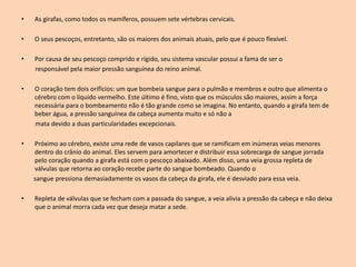 • As girafas, como todos os mamíferos, possuem sete vértebras cervicais.
• O seus pescoços, entretanto, são os maiores dos animais atuais, pelo que é pouco flexível.
• Por causa de seu pescoço comprido e rígido, seu sistema vascular possui a fama de ser o
responsável pela maior pressão sanguínea do reino animal.
• O coração tem dois orifícios: um que bombeia sangue para o pulmão e membros e outro que alimenta o
cérebro com o líquido vermelho. Este último é fino, visto que os músculos são maiores, assim a força
necessária para o bombeamento não é tão grande como se imagina. No entanto, quando a girafa tem de
beber água, a pressão sanguínea da cabeça aumenta muito e só não a
mata devido a duas particularidades excepcionais.
• Próximo ao cérebro, existe uma rede de vasos capilares que se ramificam em inúmeras veias menores
dentro do crânio do animal. Eles servem para amortecer e distribuir essa sobrecarga de sangue jorrada
pelo coração quando a girafa está com o pescoço abaixado. Além disso, uma veia grossa repleta de
válvulas que retorna ao coração recebe parte do sangue bombeado. Quando o
sangue pressiona demasiadamente os vasos da cabeça da girafa, ele é desviado para essa veia.
• Repleta de válvulas que se fecham com a passada do sangue, a veia alivia a pressão da cabeça e não deixa
que o animal morra cada vez que deseja matar a sede.
 