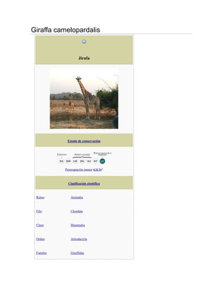 Giraffa camelopardalis


                     Jirafa




             Estado de conservación




            Preocupación menor (UICN)1



              Clasificación científica



 Reino:        Animalia



 Filo:         Chordata



 Clase:        Mammalia



 Orden:        Artiodactyla



 Familia:      Giraffidae
 