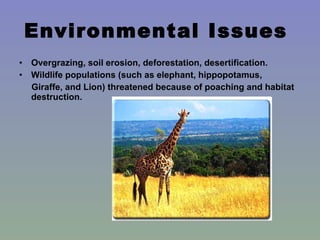 Environmental Issues  Overgrazing, soil erosion, deforestation, desertification. Wildlife populations (such as elephant, hippopotamus, Giraffe, and Lion) threatened because of poaching and habitat destruction.   