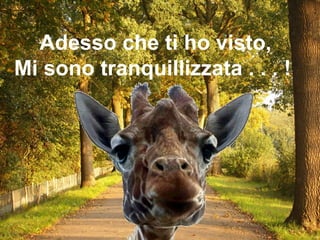 Adesso che ti ho visto, Mi sono tranquillizzata . . . !  