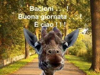 Bacioni . . . !  Buona giornata . . . ! E ciao ! ! ! 