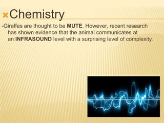 Chemistry
-Giraffes are thought to be MUTE. However, recent research
has shown evidence that the animal communicates at
an INFRASOUND level with a surprising level of complexity.
 