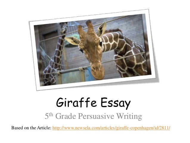 Giraffe conservation organizations image