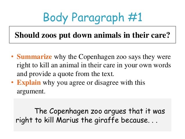 How to write a body paragraph zoo