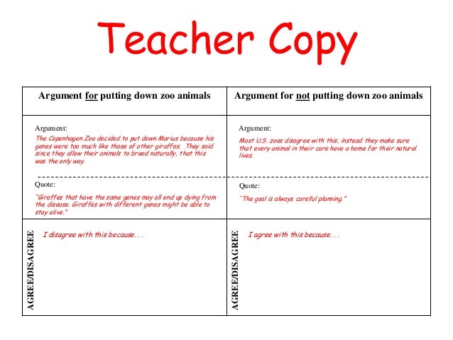 The giraffe and the monkey picture