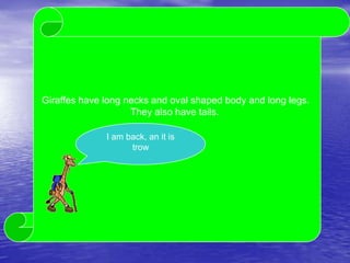 Giraffes have long necks and oval shaped body and long legs.
                    They also have tails.

              I am back, an it is
                    trow    Its trow.
 