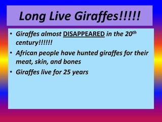 Long Live Giraffes!!!!!
• Giraffes almost DISAPPEARED in the 20th
  century!!!!!!
• African people have hunted giraffes for their
  meat, skin, and bones
• Giraffes live for 25 years
 