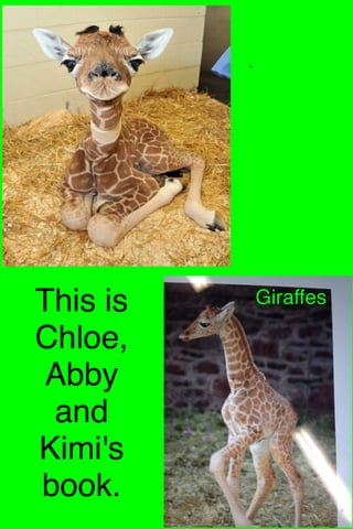 This is
Chloe,
Abby
and
Kimi's
book.
.
Giraffes
 