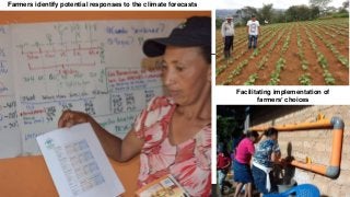 Farmers in motion: Latin American climate services in action