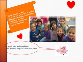 Au revoir mes amis papillons,
vous resterez toujours dans mon cœur
 