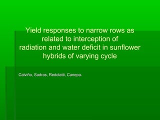 Yield responses to narrow rows as
related to interception of
radiation and water deﬁcit in sunﬂower
hybrids of varying cycle
Calviño, Sadras, Redolatti, Canepa.Calviño, Sadras, Redolatti, Canepa.
 