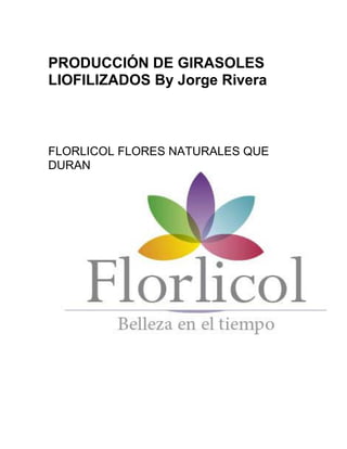 PRODUCCIÓN DE GIRASOLES
LIOFILIZADOS By Jorge Rivera
FLORLICOL FLORES NATURALES QUE
DURAN
 