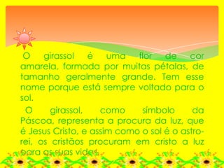 Girassol, símbolo pascal | PPTX