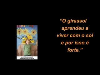 “ O girassol aprendeu a viver com o sol e por isso é forte.” 