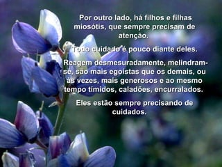 Por outro lado, há filhos e filhas miosótis, que sempre precisam de atenção.  Todo cuidado é pouco diante deles. Reagem desmesuradamente, melindram-se, são mais egoístas que os demais, ou às vezes, mais generosos e ao mesmo tempo tímidos, caladões, encurralados.  Eles estão sempre precisando de cuidados.  00 00 00 03 