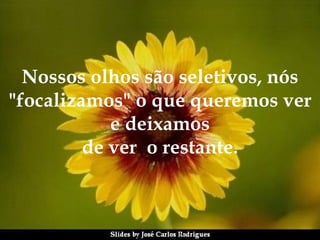 Nossos olhos são seletivos, nós "focalizamos" o que queremos ver e deixamos de ver  o restante. 