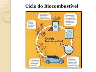 Ciclo do Biocombustível
 