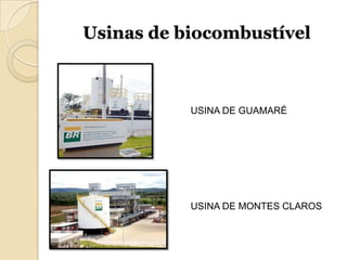 Usinas de biocombustível



           USINA DE GUAMARÉ




           USINA DE MONTES CLAROS
 
