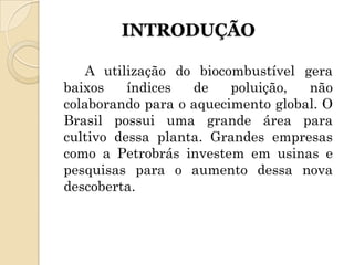 INTRODUÇÃO

    A utilização do biocombustível gera
baixos    índices  de    poluição,  não
colaborando para o aquecimento global. O
Brasil possui uma grande área para
cultivo dessa planta. Grandes empresas
como a Petrobrás investem em usinas e
pesquisas para o aumento dessa nova
descoberta.
 