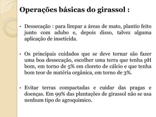 Operações básicas do girassol :

•   Dessecação : para limpar a áreas de mato, plantio feito
    junto com adubo e, depois disso, talvez alguma
    aplicação de inseticida.

•   Os principais cuidados que se deve tornar são fazer
    uma boa dessecação, escolher uma terra que tenha pH
    bom, em torno de 5% em cloreto de cálcio e que tenha
    bom teor de matéria orgânica, em torno de 3%.

•   Evitar terras compactadas e cuidar das pragas e
    doenças. Em 99% das plantações de girassol não se usa
    nenhum tipo de agroquímico.
 