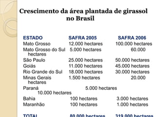 Crescimento da área plantada de girassol
             no Brasil


 ESTADO              SAFRA 2005             SAFRA 2006
 Mato Grosso         12.000 hectares      100.000 hectares
 Mato Grosso do Sul 5.000 hectares               60.000
   hectares
 São Paulo           25.000 hectares      50.000 hectares
 Goiás               11.000 hectares      45.000 hectares
 Rio Grande do Sul 18.000 hectares        30.000 hectares
 Minas Gerais        1.500 hectares              20.000
   hectares
 Paraná                      5.000 hectares
       10.000 hectares
 Bahia                100 hectares         3.000 hectares
 Maranhão             100 hectares         1.000 hectares
 
