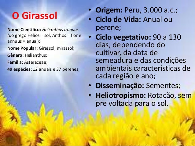 A Palavra Girassol É Um Substantivo Comum Simples – YEXN