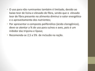 • O uso para não ruminantes também é limitado, devido ao
baixo teor de lisina e elevado de fibra, sendo que o elevado
teor de fibra presente no alimento diminui o valor energético
e o aproveitamento dos nutrientes;
• Por apresentar o composto polifenólico (ácido clorogênico),
deve-se atentar a % de uso para suínos e aves, pois é um
inibidor das tripsina e lípase;
• Recomenda-se 2,5 a 5% de inclusão na ração.
 