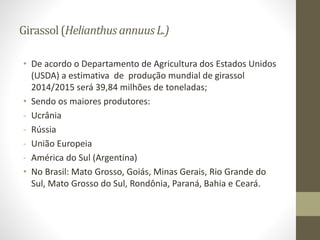 Girassol(Helianthus annuusL.)
• De acordo o Departamento de Agricultura dos Estados Unidos
(USDA) a estimativa de produção mundial de girassol
2014/2015 será 39,84 milhões de toneladas;
• Sendo os maiores produtores:
- Ucrânia
- Rússia
- União Europeia
- América do Sul (Argentina)
• No Brasil: Mato Grosso, Goiás, Minas Gerais, Rio Grande do
Sul, Mato Grosso do Sul, Rondônia, Paraná, Bahia e Ceará.
 