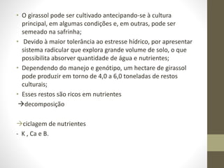 • O girassol pode ser cultivado antecipando-se à cultura
principal, em algumas condições e, em outras, pode ser
semeado na safrinha;
• Devido à maior tolerância ao estresse hídrico, por apresentar
sistema radicular que explora grande volume de solo, o que
possibilita absorver quantidade de água e nutrientes;
• Dependendo do manejo e genótipo, um hectare de girassol
pode produzir em torno de 4,0 a 6,0 toneladas de restos
culturais;
• Esses restos são ricos em nutrientes
decomposição
ciclagem de nutrientes
- K , Ca e B.
 