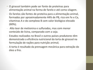 • O girassol também pode ser fonte de proteínas para
alimentação animal na forma de farelo e até como silagem.
- Os farelos são fontes de proteína para a alimentação animal,
formados por aproximadamente 44% de PB, rico em Fe e Ca,
vitaminas A e do complexo B com valor biológico elevado
(60%);
- Alto teor de metionina e sulfurados, mas com menor
conteúdo de lisina, comparado com a soja.
- Estudos realizados no Brasil e outros países produtores têm
demonstrado a eficiência nutricional da torta de girassol na
formulação de rações para nutrição animal;
- A torta é resultado da prensagem mecânica para extração do
óleo a frio.
 
