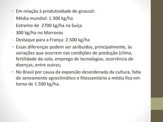 • Em relação à produtividade de girassol:
- Média mundial: 1.300 kg/ha
- Extremo de 2700 kg/ha na Suíça
- 300 kg/ha no Marrocos
- Destaque para a França: 2.500 kg/ha
• Essas diferenças podem ser atribuídas, principalmente, às
variações que ocorrem nas condições de produção (clima,
fertilidade do solo, emprego de tecnologias, ocorrência de
doenças, entre outras;
• No Brasil por causa da expansão desordenada da cultura, falta
de zoneamento agroclimático e fitossanitário a média fica em
torno de 1.500 kg/ha.
 